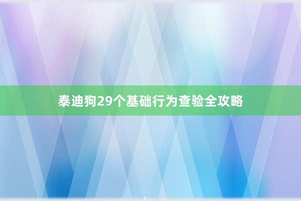 泰迪狗29个基础行为查验全攻略