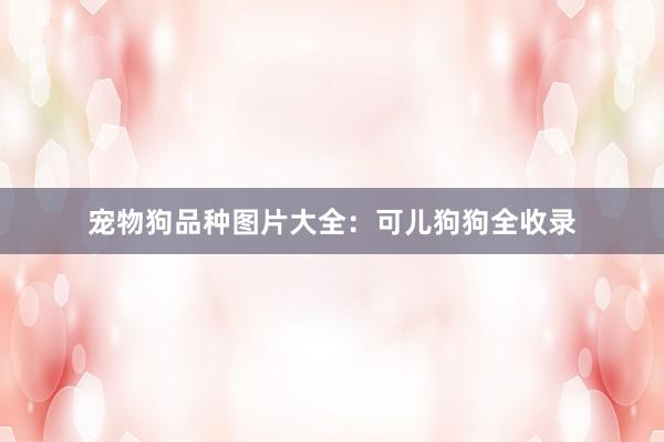 宠物狗品种图片大全：可儿狗狗全收录
